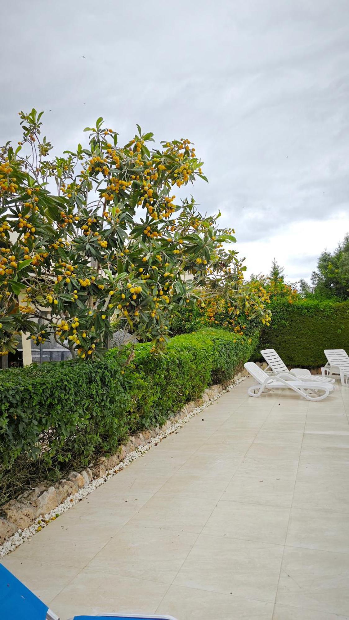 Byzantium Gardens - Green Paphos Exterior photo